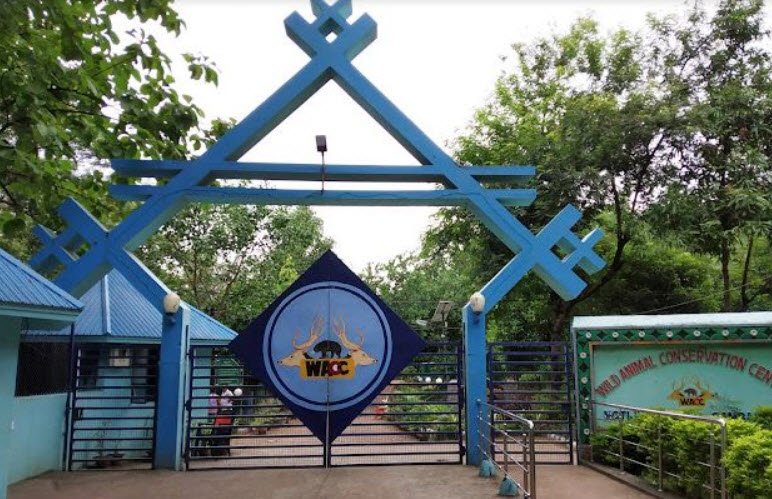 Deer Park (Mini Zoo)